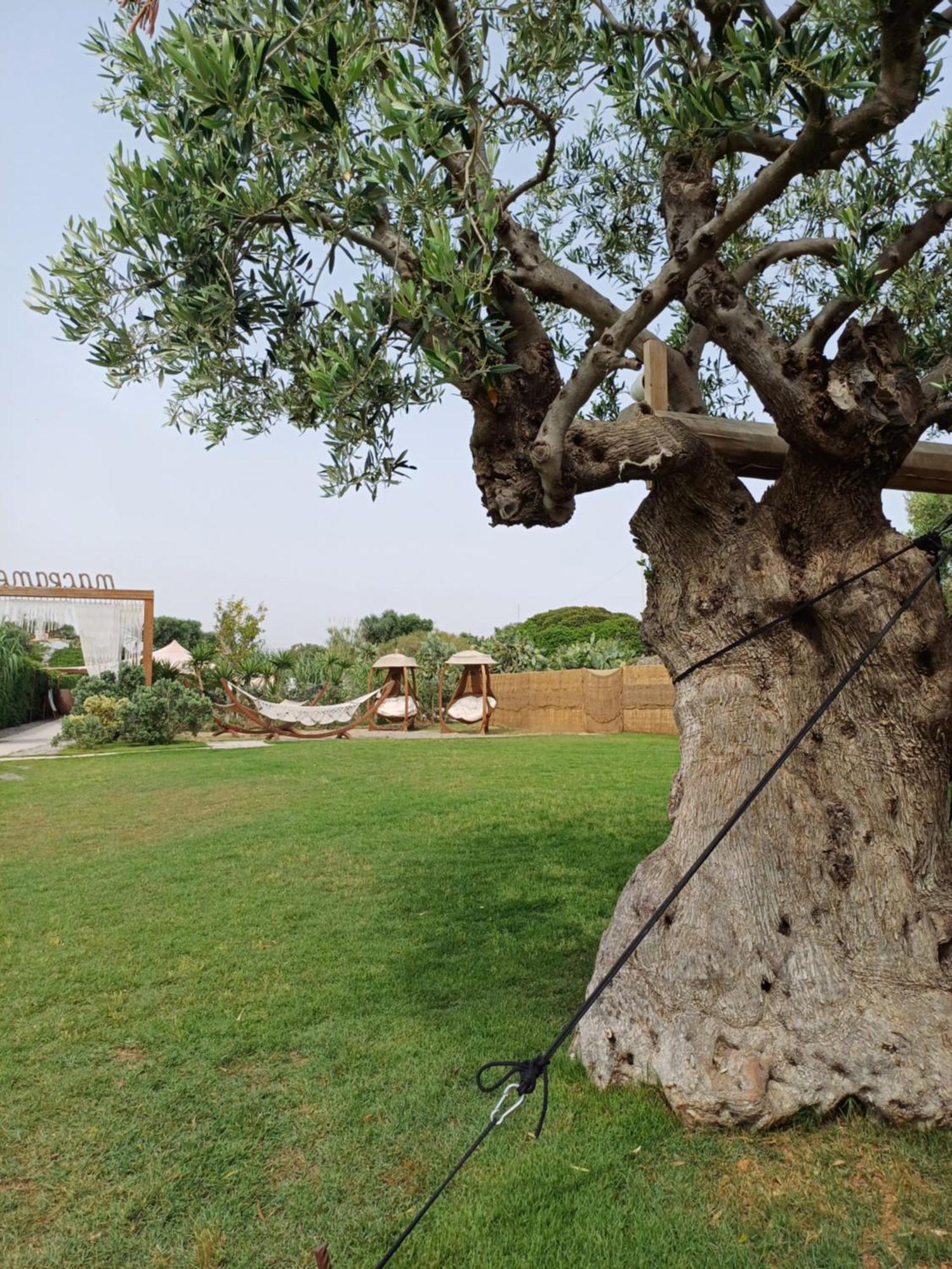 A Casa Del Mercante 莫诺波利 外观 照片